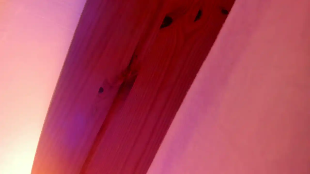 Vanillaisforicecram_ Showup - Free Video - 2025 04-03 17:23:01