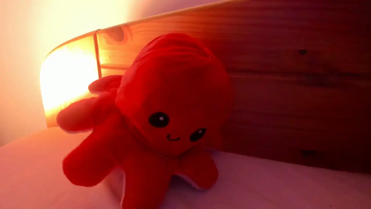 Vanillaisforicecram_ Showup - Hot Show Video - 2025 04-07 18:54:38