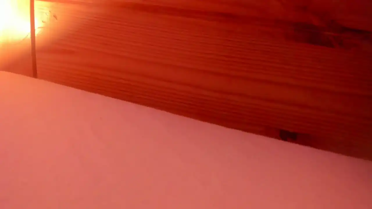 Vanillaisforicecram_ Showup - Private Video - 2025 04-08 24:41:21