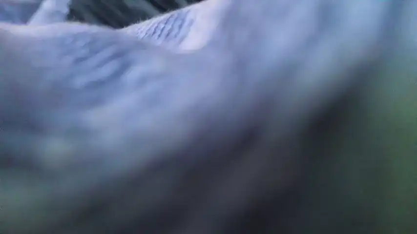 X__Rose__X Chaturbate - Private Video - 2025 04-01 16:21:24