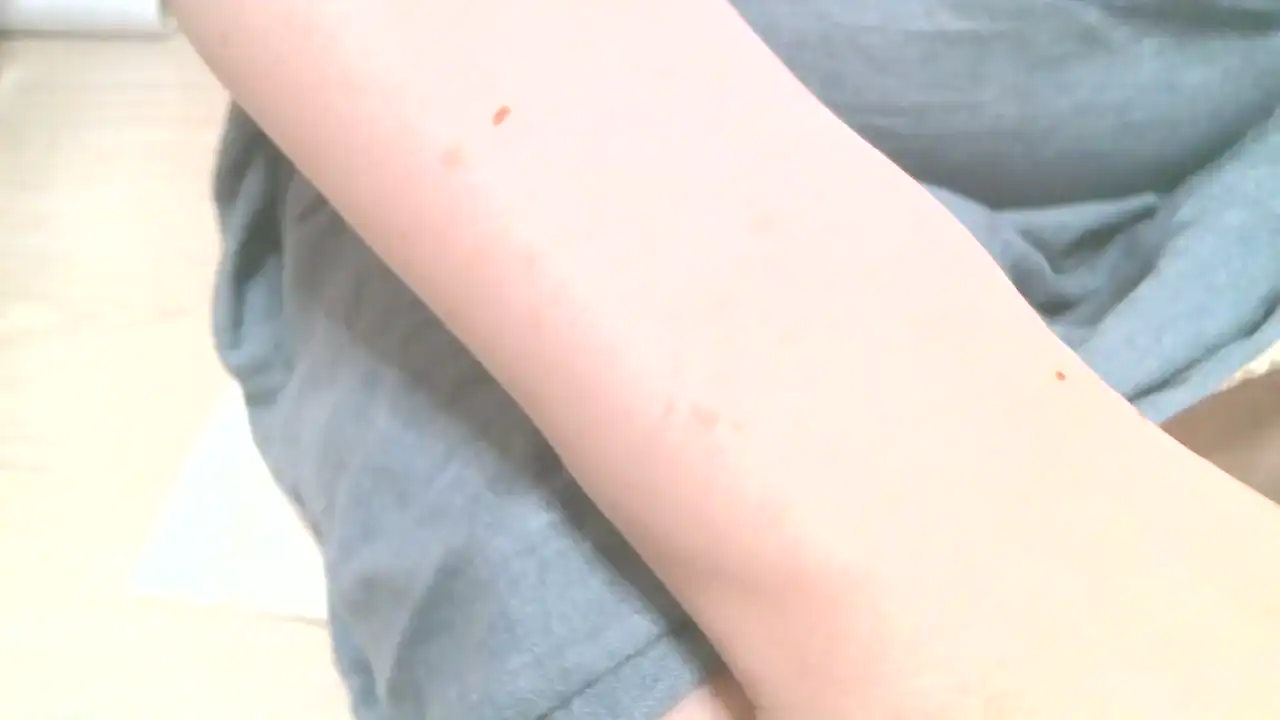 Xerikachan Sakuralive - Record Video - 2025 02-11 04:27:54
