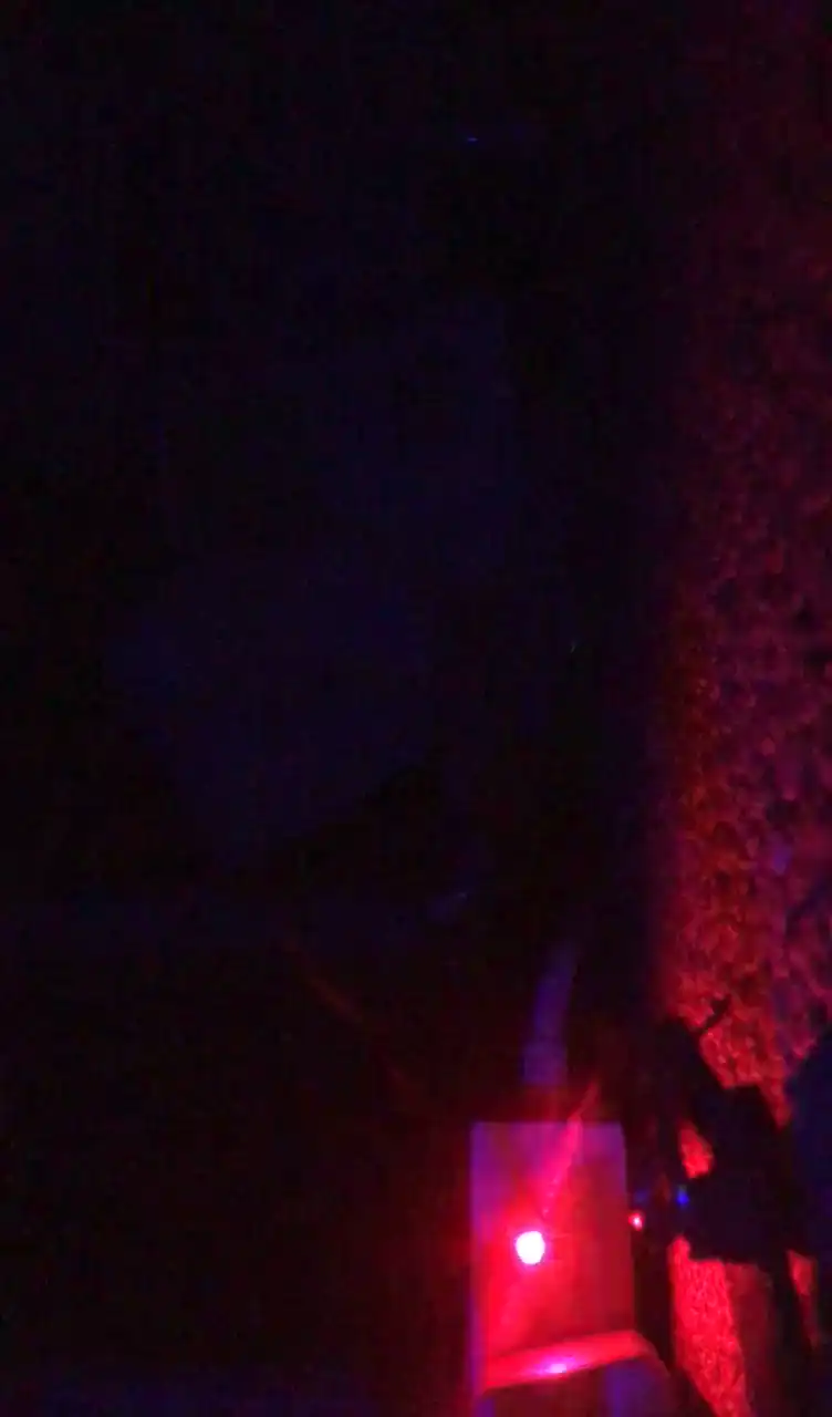 Yakirinngo Sakuralive - Free Video - 2025 05-01 11:39:03
