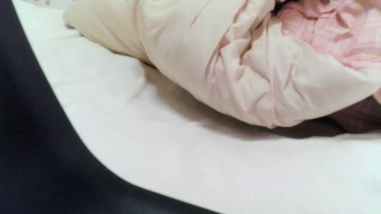 Yakirinngo Sakuralive - Live Video Recording - 2025 02-09 25:60:28